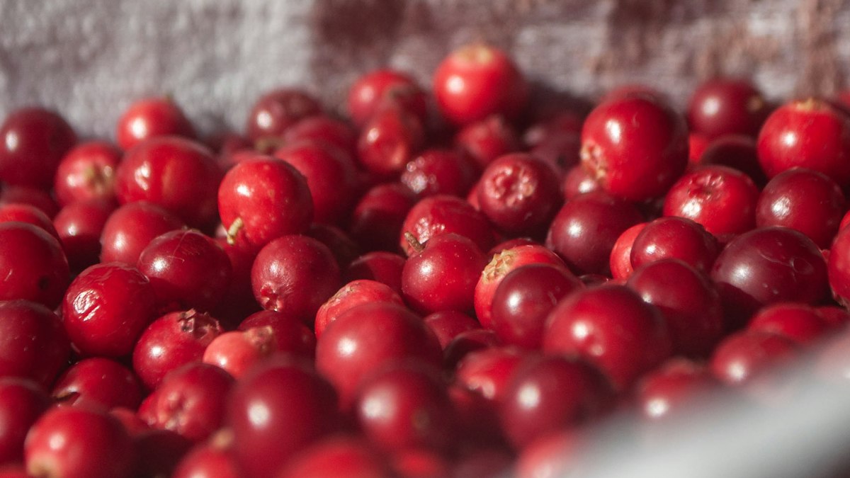 Fresh Thanksgiving produce ready for holiday shopping
