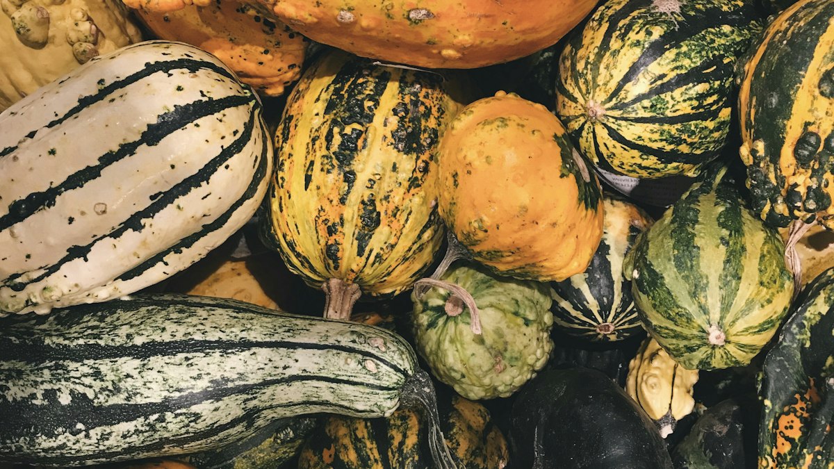 Assorted whole winter squash including butternut and acorn varieties
