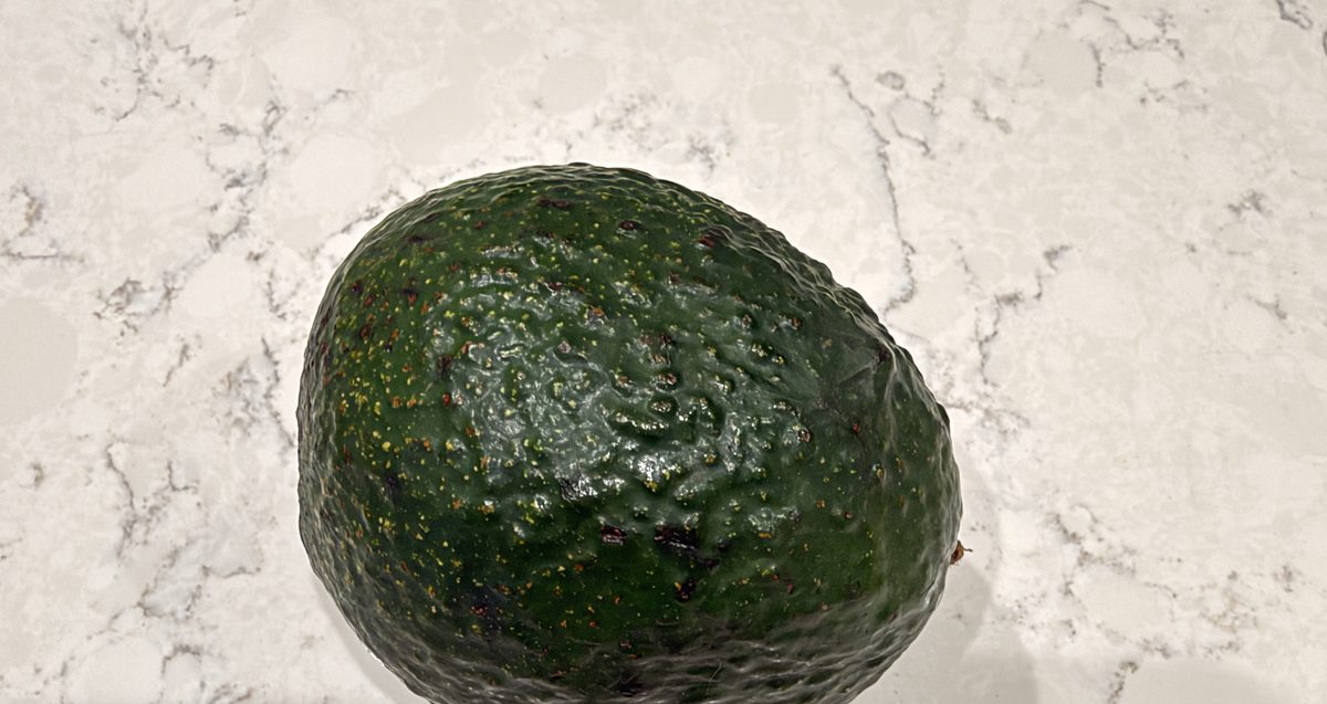 Avocado being scanned
